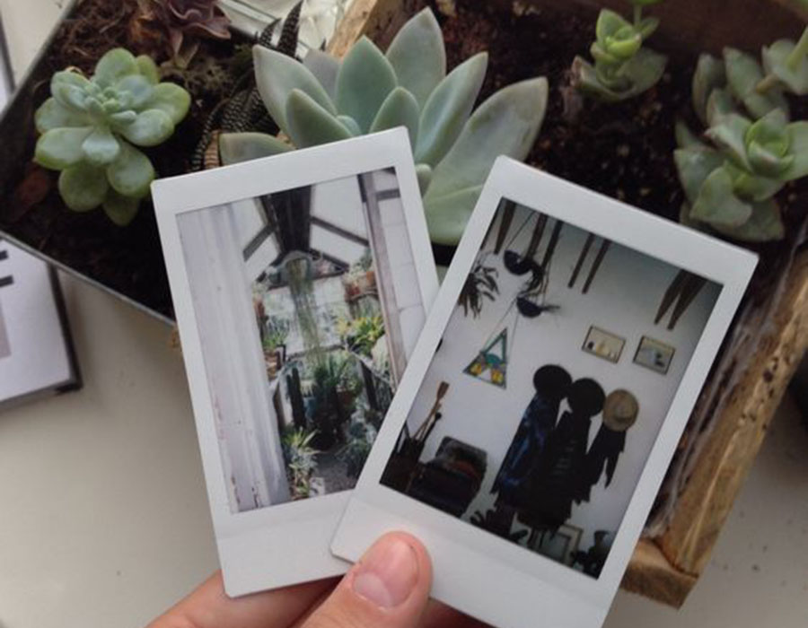 Gambar Polaroid